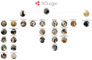 SCLogic's pet organizational chart, showing all of the pets in the company.